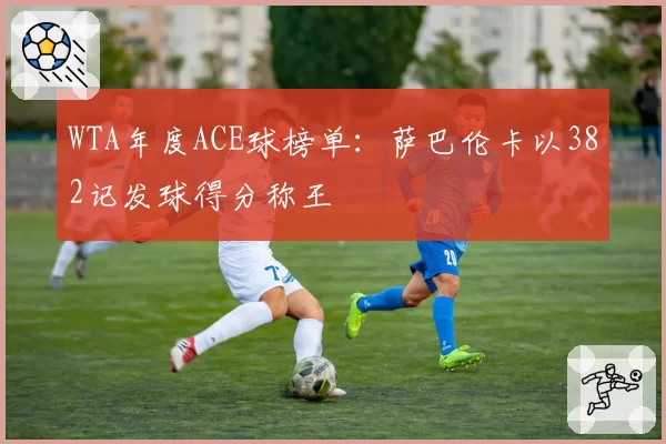 WTA年度ACE球榜单：萨巴伦卡以382记发球得分称王