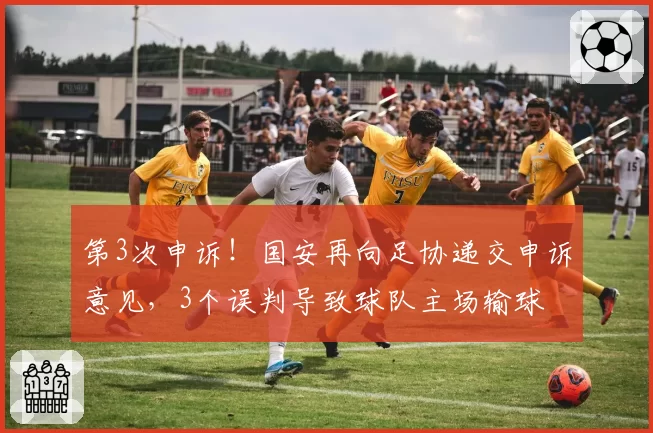 第3次申诉!国安再向足协递交申诉意见,3个误判导致球队主场输球